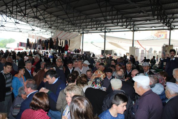 22291426 1843348815705190 8999431839222813307 o